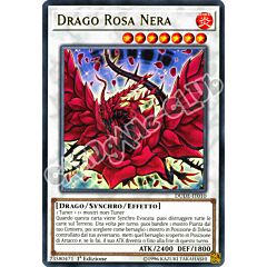 DUDE-IT010 Drago Rosa Nera ultra rara 1a Edizione (IT) -NEAR MINT-