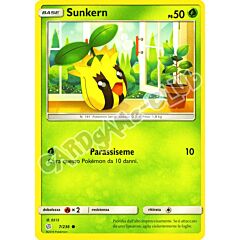 007 / 236 Sunkern comune normale (IT) -NEAR MINT-