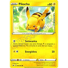 065 / 202 Pikachu comune normale (IT) -NEAR MINT-