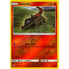 030 / 214 Salandit comune foil reverse (EN) -NEAR MINT-