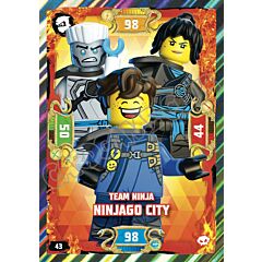 043 / 252 Team Ninja Ninjago City foil (IT) -NEAR MINT-