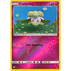 143 / 236 Cottonee comune foil reverse (EN) -NEAR MINT-