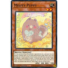 ROTD-IT019 Melffy Puppy super rara 1a Edizione (IT) -NEAR MINT-