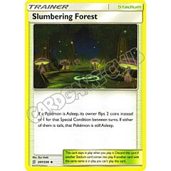207 / 236 Slumbering Forest non comune normale (EN) -NEAR MINT-