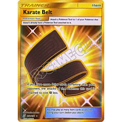 252 / 236 Karate Belt rara segreta foil (EN) -NEAR MINT-