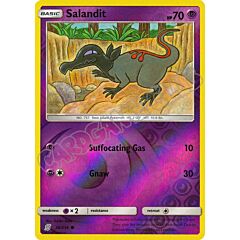 098 / 236 Salandit comune foil reverse (EN) -NEAR MINT-