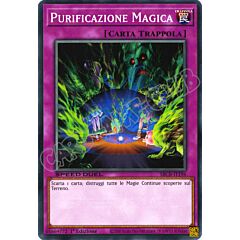 SBCB-IT196 Purificazione Magica comune 1a Edizione (IT) -NEAR MINT-