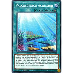 DLCS-IT093 Palcoscenico Acquario comune 1a edizione (IT)