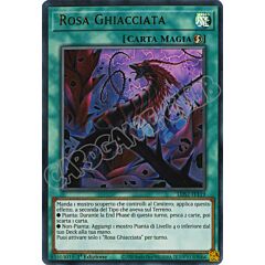 LDS2-IT119 Rosa Ghiacciata (scritta ORO) ultra rara 1a Edizione (IT) -NEAR MINT-