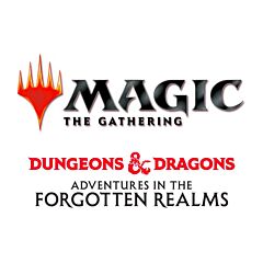 Dungeons & Dragons: Adventures in the Forgotten Realms Commander case 4 mazzi (EN)
