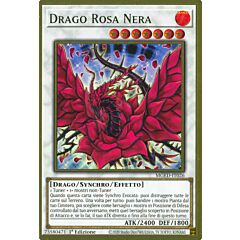 MGED-IT026 Drago Rosa Nera premium rara oro 1a Edizione (IT) -NEAR MINT-