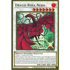 MGED-IT026 Drago Rosa Nera (Alternate Art) premium rara oro 1a Edizione (IT) -NEAR MINT-