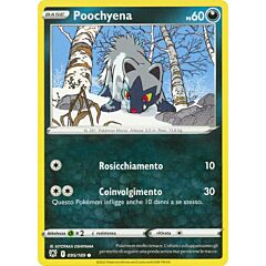 095/189 Poochyena Comune normale (IT) -NEAR MINT-