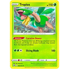 005 / 172 Tropius Non comune normale (EN) -NEAR MINT-