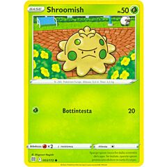 003 / 172 Shroomish Comune normale (IT) -NEAR MINT-