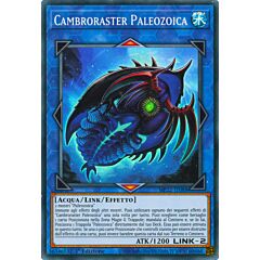 MP22-IT088 Cambroraster Paleozoica Super Rara 1a Edizione (IT) -NEAR MINT-