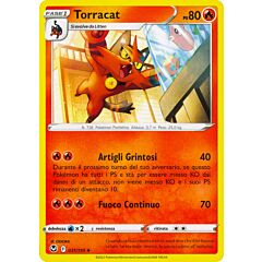 031 / 195 Torracat Non Comune normale (IT) -NEAR MINT-