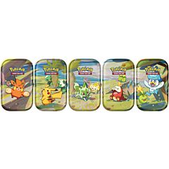 Mini Tin da collezione Amici di Paldea 5 Tin: Pawmi e Lechonk, Pikachu e Capsakid, Sprigatito e Fidough, Fuecoco e Smoliv, Quaxly e Smoliv (IT)