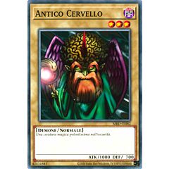 MRD-IT082 Antico Cervello Comune unlimited (IT) -NEAR MINT-