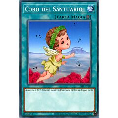 SRL-IT037 Coro del Santuario Comune unlimited (IT) -NEAR MINT-