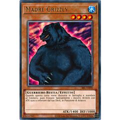 SRL-IT090 Madre Grizzly Rara unlimited (IT) -NEAR MINT-