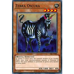 SRL-IT084 Zebra Oscura Comune unlimited (IT) -NEAR MINT-