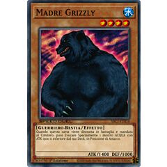 SBC1-ITH10 Madre Grizzly comune 1a Edizione (IT) -NEAR MINT-