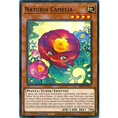 MP23-IT171 Naturia Camelia Super Rara 1a Edizione (IT) -NEAR MINT-