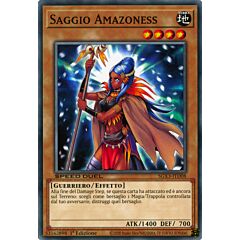 SGX3-ITD08 Saggio Amazoness Comune 1a Edizione (IT) -NEAR MINT-