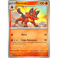 033 / 162 Torracat Comune normale (IT)