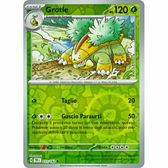 011 / 162 Grotle Comune foil reverse (IT)