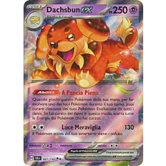 067 / 142 Dachsbun ex Rara Ex foil (IT) -NEAR MINT-