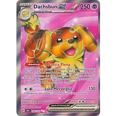 160 / 142 Dachsbun ex Rara Segreta foil (IT) -NEAR MINT-