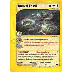 047 / 144 Buried Fossil comune (IT) -NEAR MINT-