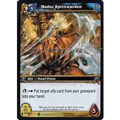 AZEROTH 205 / 361 Medoc Spiritwarden non comune -NEAR MINT-