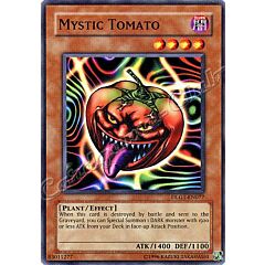 DLG1-EN077 Mystic Tomato comune -NEAR MINT-