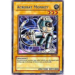 DCR-003 Acrobat Monkey comune Unlimited -NEAR MINT-