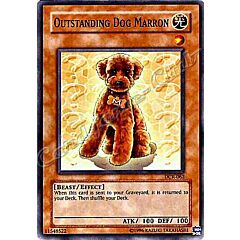 DCR-062 Outstanding Dog Marron comune Unlimited -NEAR MINT-