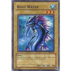 LOB-032 Root Water comune Unlimited -NEAR MINT-