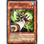 TDGS-IT028 Ostrica Maestra comune 1a Edizione (IT) -NEAR MINT-