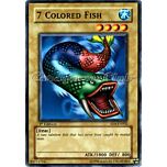 SD4-EN002 7 Colored Fish comune 1st edition -NEAR MINT-