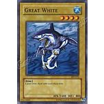 SDY-011 Great White comune Unlimited -NEAR MINT-