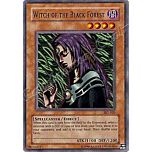 SKE-020 Witch of the Black Forest comune Unlimited -NEAR MINT-
