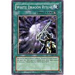 SKE-025 White Dragon Ritual comune Unlimited -NEAR MINT-