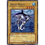 SYE-009 Great White comune Unlimited -NEAR MINT-