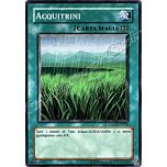 LODT-IT054 Acquitrini comune Unlimited (IT) -NEAR MINT-