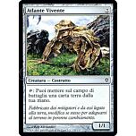 131 / 145 Atlante Vivente comune (IT) -NEAR MINT-