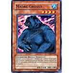 CP04-IT013 Madre Grizzly comune Unlimited (IT) -NEAR MINT-