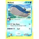 014 / 109 Wailord rara foil reverse (EN) -NEAR MINT-