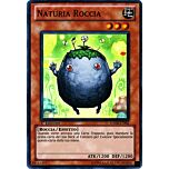 HA02-IT002 Naturia Roccia super rara 1a Edizione (IT) -NEAR MINT-